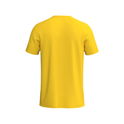 Maillot adulte jaune Erima Intro