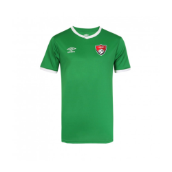 Maillot adulte cup jersey vert