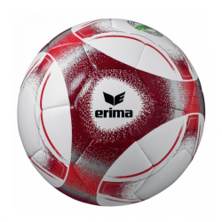 Ballon T4 Hybrid Training 2.0 Erima