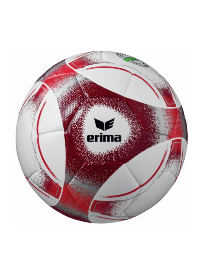 Ballon T4 Hybrid Training 2.0 Erima