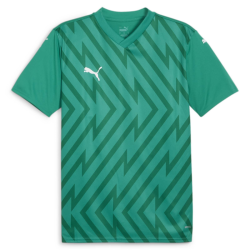 Maillot adulte vert Puma Teamglory