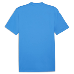 Maillot enfant bleu Puma Teamglory