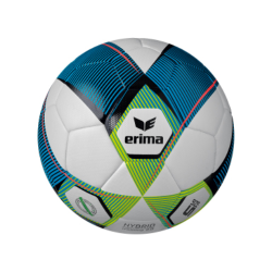 Ballon T5 Erima Hybrid Training