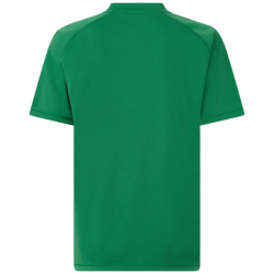 Maillot de rugby match adulte vert Kappa Telese