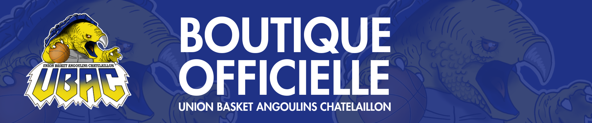 UNION BASKET ANGOULINS CHATELAILLON